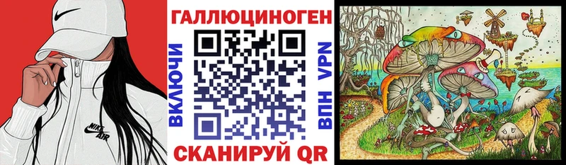 где продают Тутаев Псилоцибиновые грибы Magic Shrooms
