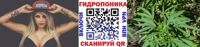 МАРИХУАНА планчик Тутаев